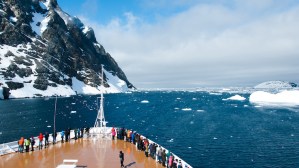 5 Top Reasons to Take an Antarctica Cruise